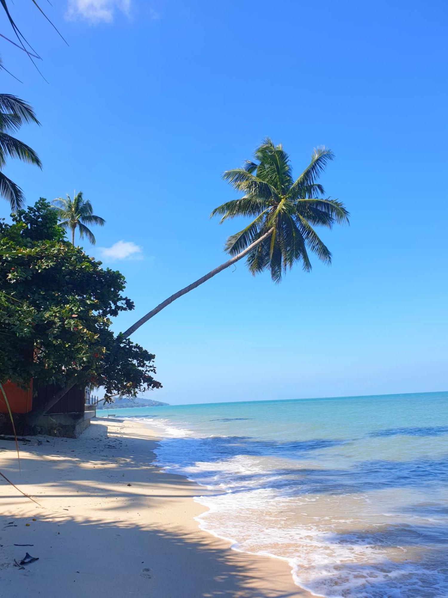 Bed and Breakfast Samui Blue Bird Mae Nam Zewnętrze zdjęcie