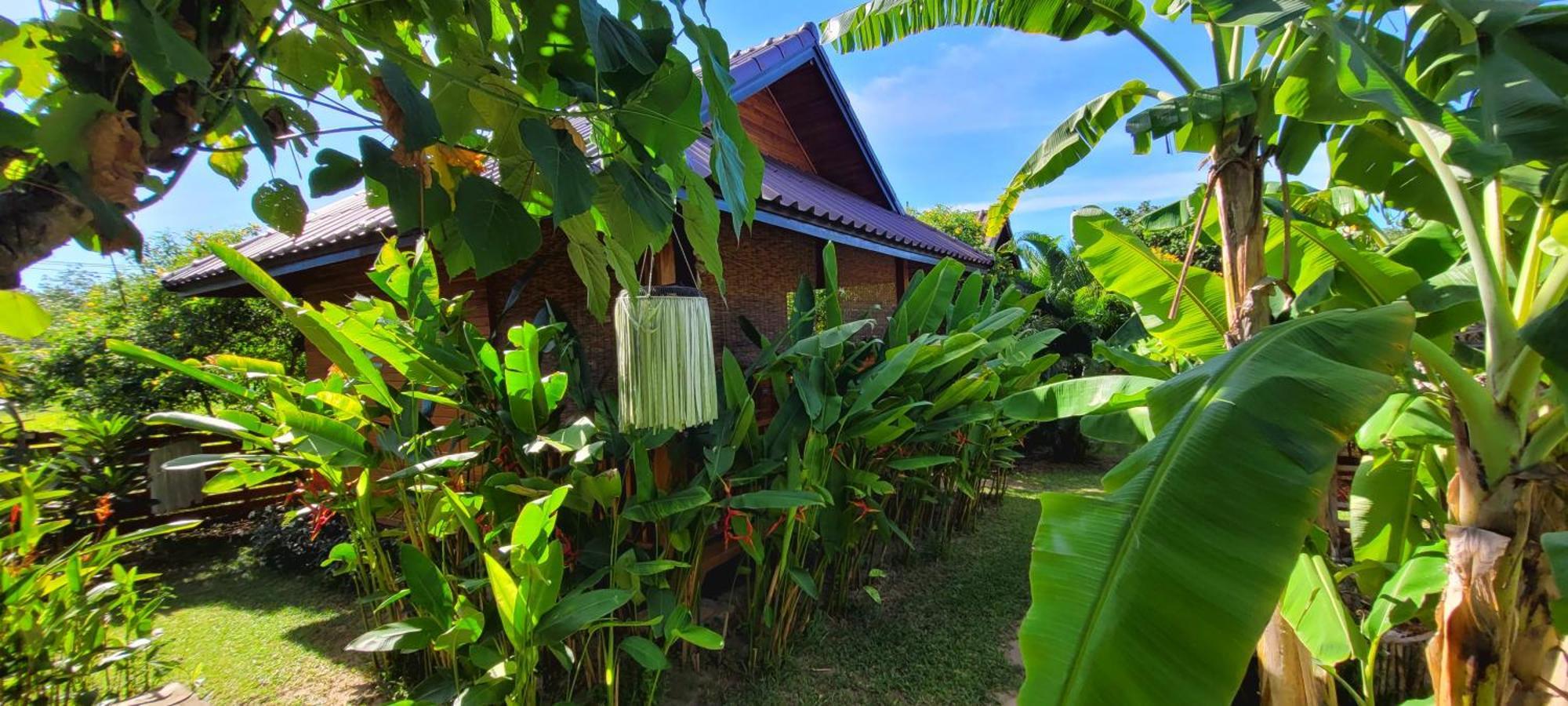 Bed and Breakfast Samui Blue Bird Mae Nam Zewnętrze zdjęcie