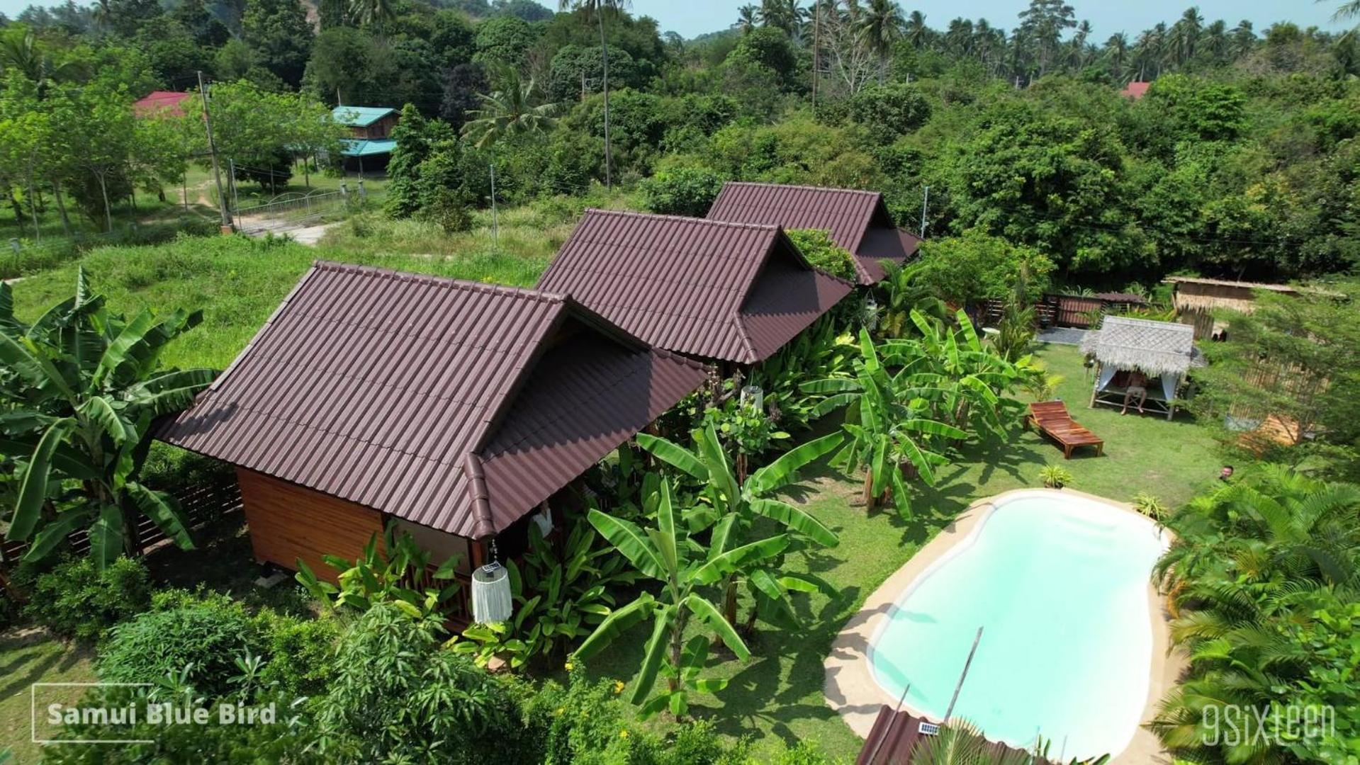 Bed and Breakfast Samui Blue Bird Mae Nam Zewnętrze zdjęcie